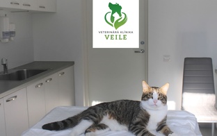 VEILE - pirmā veterinārā klīnika mūsu programmā