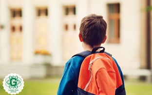 Izglītības un zinātnes ministrija koronavīrusa draudu dēļ apzinās iespējas skolās mācības organizēt attālināti  